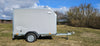 Mini Cargo 250Fs